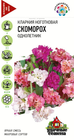 Кларкия Скоморох гавриш