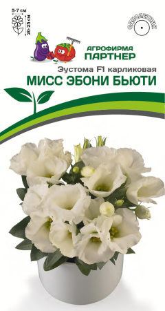 Эустома МИСС ЭБОНИ БЬЮТИ Партнер