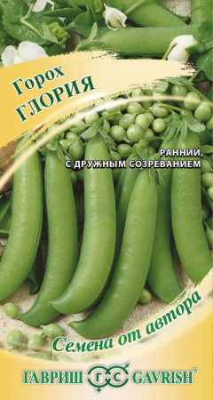 глория