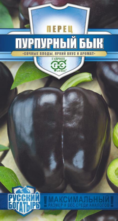 перец пурпурныйбык