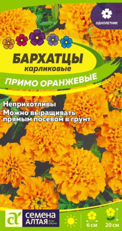 hwtubj7dnqva9gmiiqtmr7hxun2ovk36