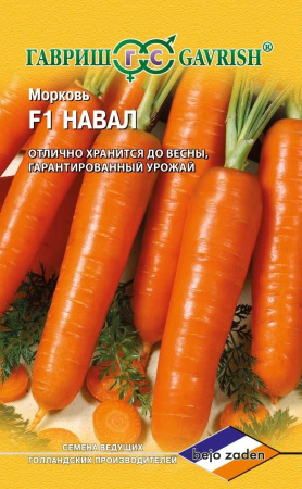 1242