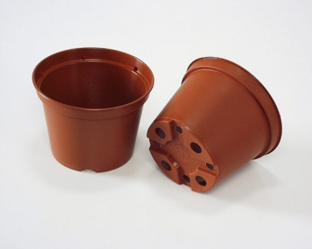 06eu8m3dj9uwxunhf1lsevsn42i3b2ch (1)