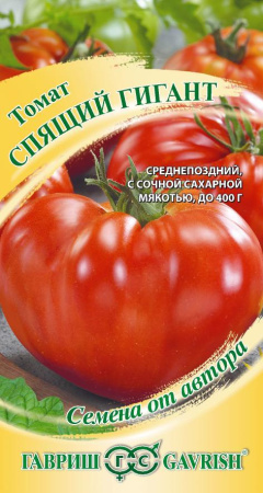 Спящий гигант