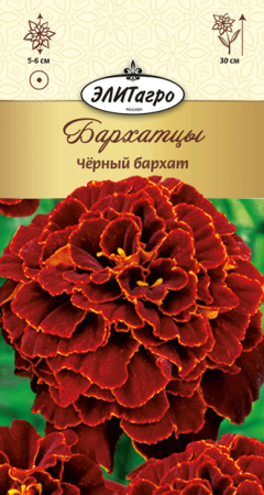 Бархатцы Чёрный Бархат элитагро