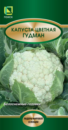 kapusta_cvet_gudman