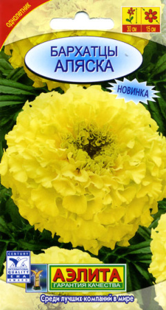 full_barhatcy_alyaska_aelita_21878