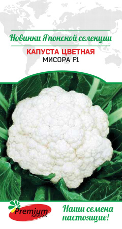 4702d6a84efb2c2215e1ef946951d0e7