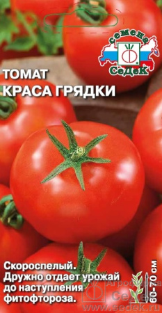 tomat_krasa_gryadki