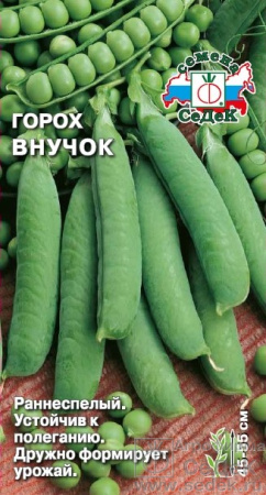 gorokh_vnuchok