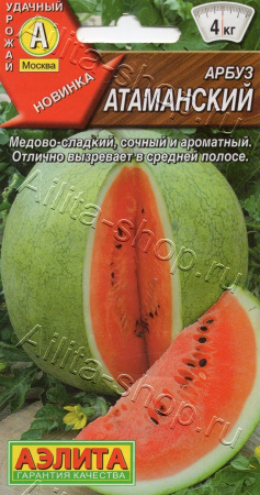 8888