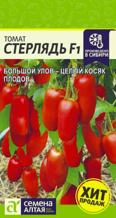 Стерлядь
