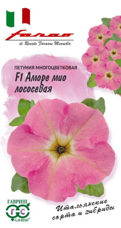 1681