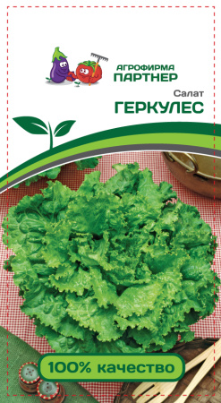 салат геркулес