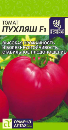 IMG-1546