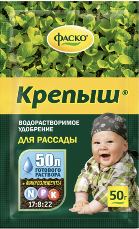 IMG-4661