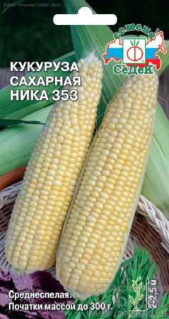 242