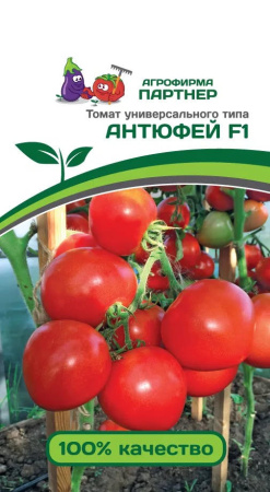 антюфей