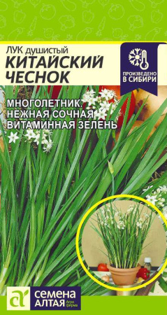 китайский чеснок