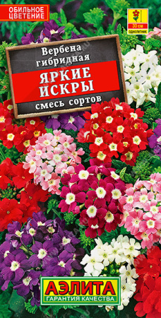 Вербена Яркие искры аэлита