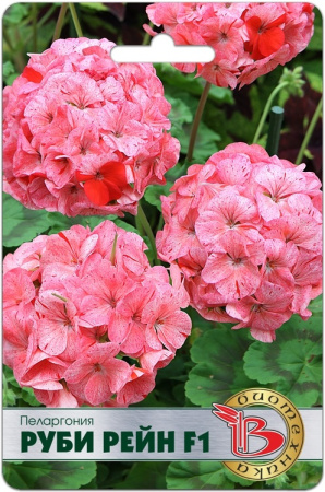 10E2BF8C-C568-433E-B6F9-1C726F04F93F