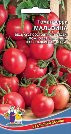 tomat-cherri-malvina