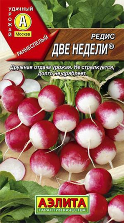1523