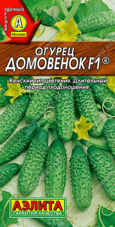 домовенок