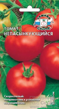 tomat_nepasynkuyushchiysya