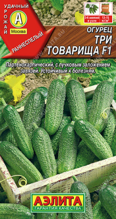 Три товарища