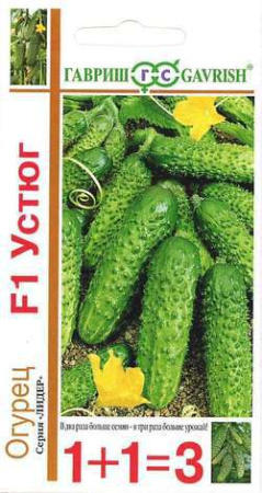 1511