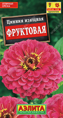 Цинния Фруктовая аэлита
