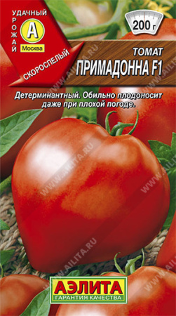 примадонна