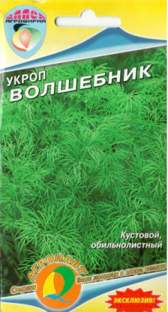 волшебник