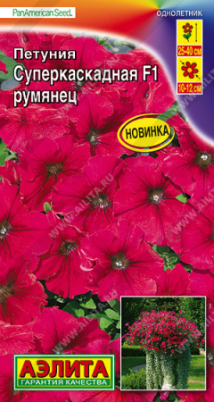 Петуния суперкаскадная F1 румянец аэлита