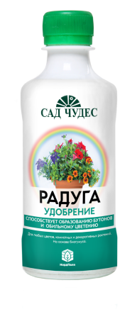 радуга