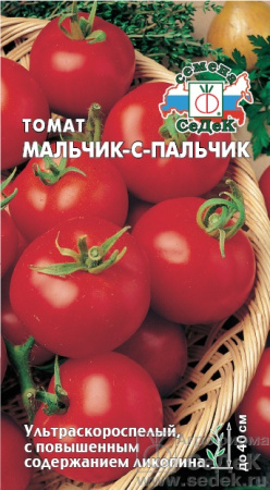 tomat_malchik_s_palchik
