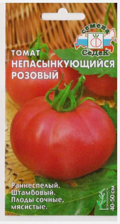 tomat_nepasynkuyushchiysya_rozovyy