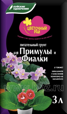 IMG-0043