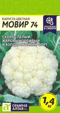 k7rc1zlly0pbbrgsqkhfddstmmg79ttd