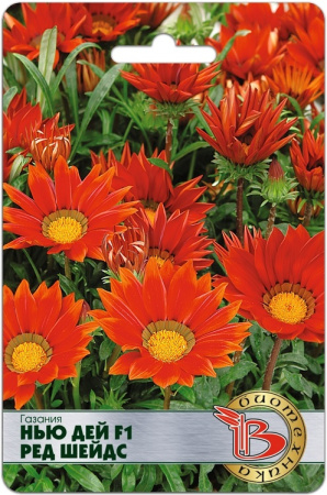 3D81E12A-DC25-4883-813E-0B2AD3DE7A4D