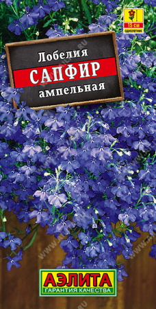 Лобелия Сапфир аэлита