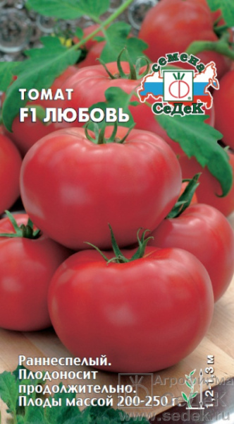 1231