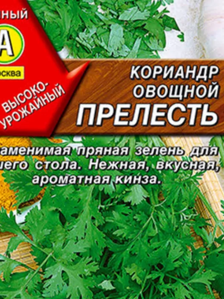 Без названия