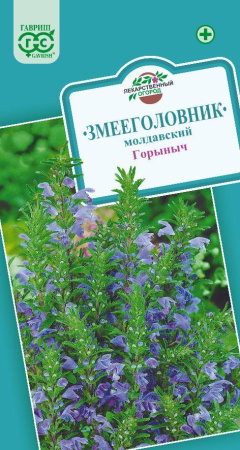 змееголовник горыныч