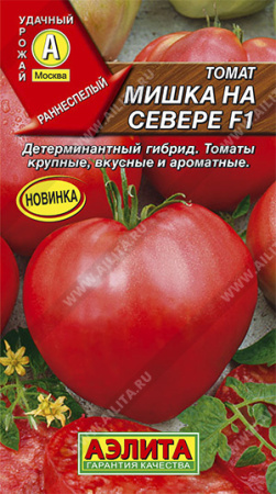 мишка на севере