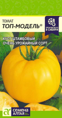 Топ-модель