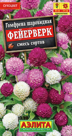 Гомфрена шаровидная Фейерверк аэлита