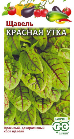 Щавель Красная Утка гавриш