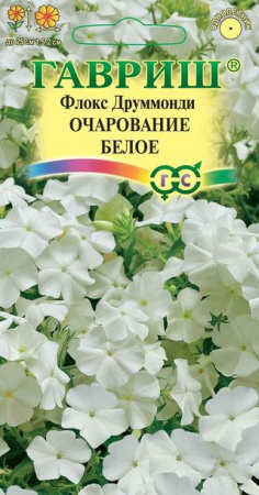 2507
